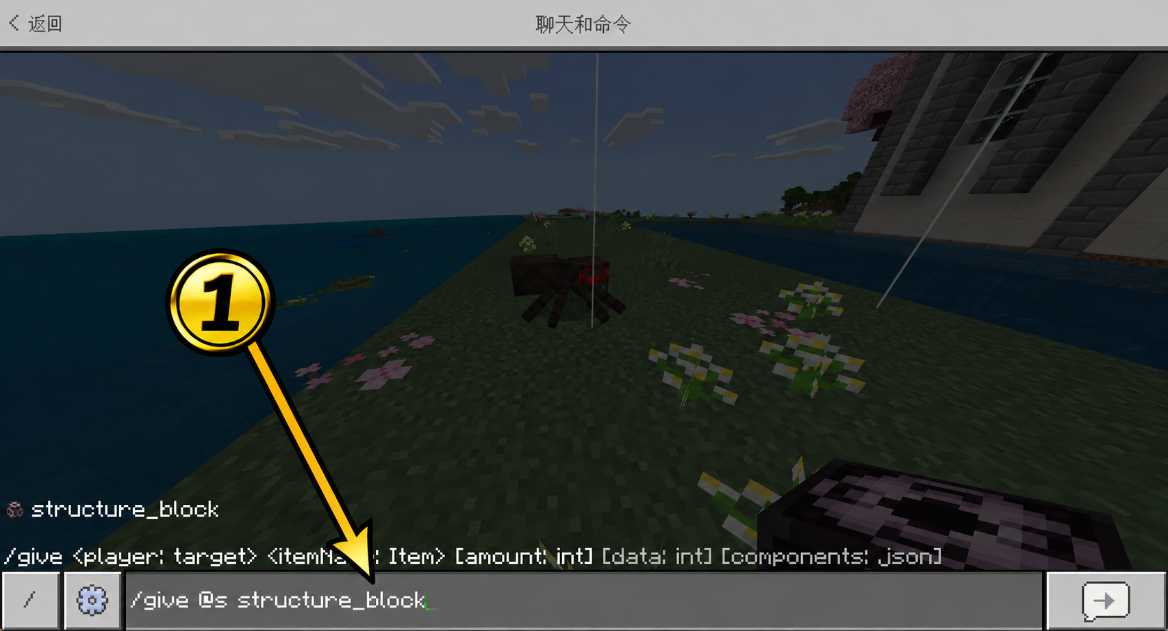 A structure block command entered in chat, with gold arrow 1 marking where to type